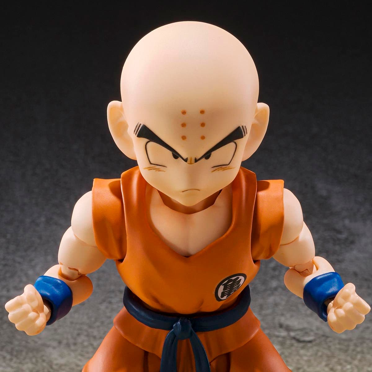 Krillin Son Gokus Old Friend