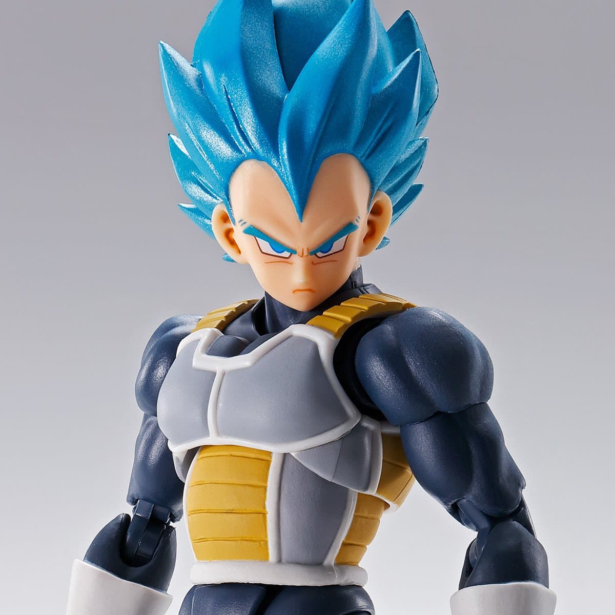 Super Saiyan God Super Saiyan Vegeta Super Shfiguarts 15th Anniversary Ver