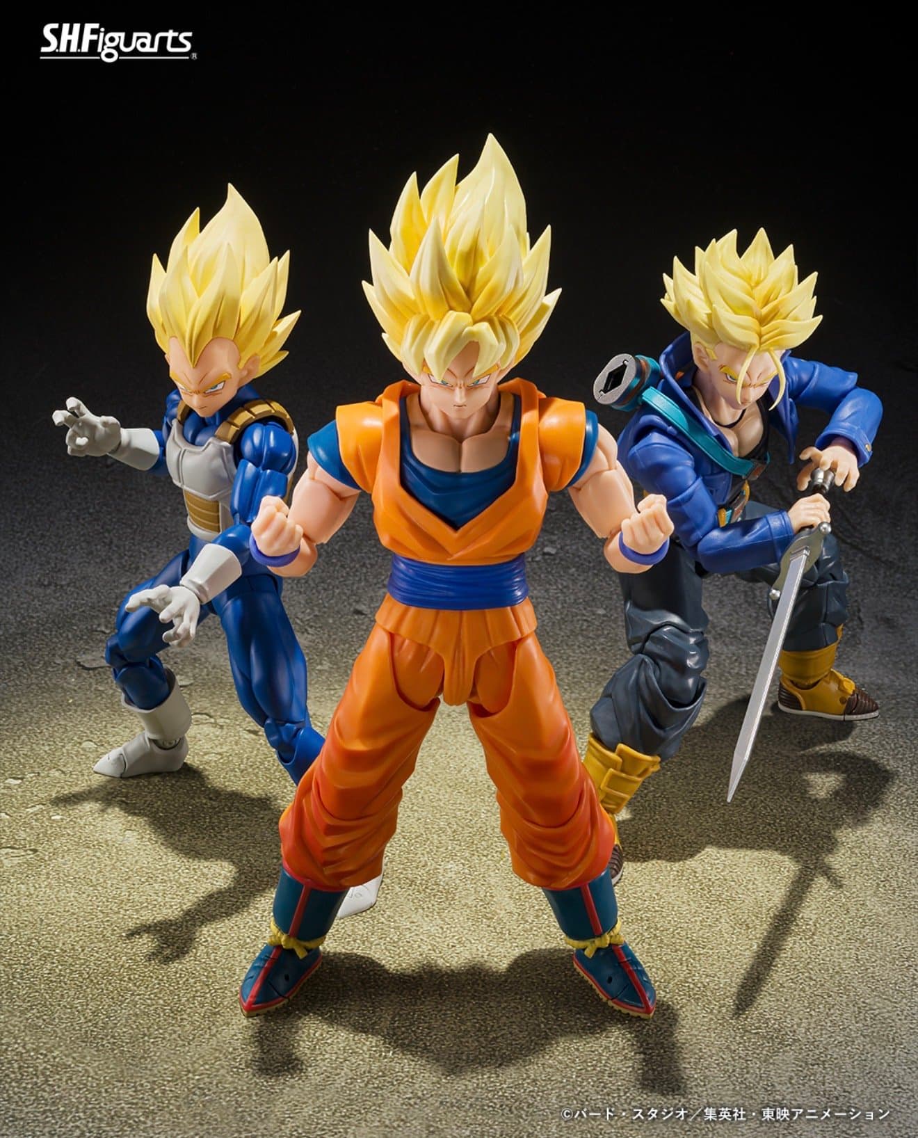 Super Saiyan Vegeta Dangerous Pride