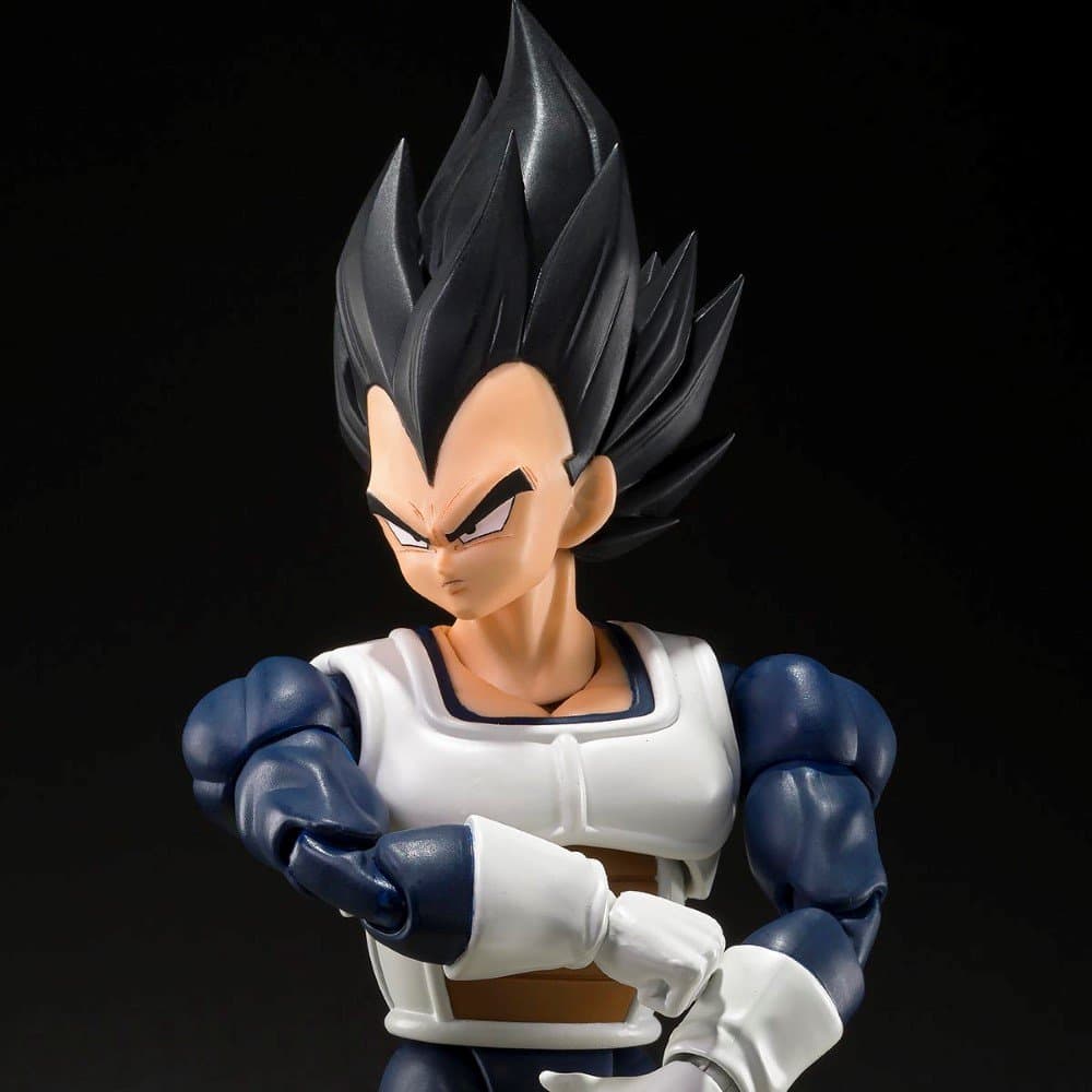 Vegeta Older Style Battle Clothes